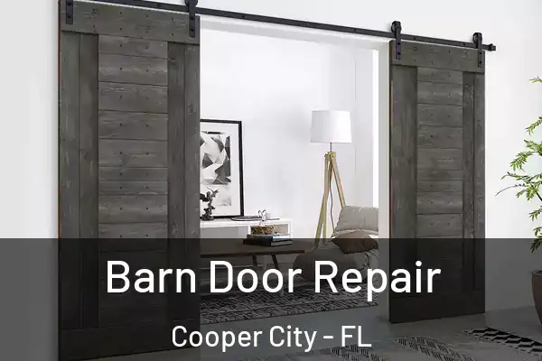 Barn Door Repair Cooper City - FL