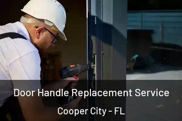  Door Handle Replacement Service Cooper City - FL