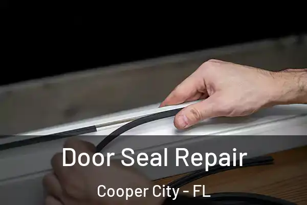  Door Seal Repair Cooper City - FL