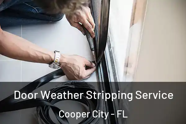  Door Weather Stripping Service Cooper City - FL