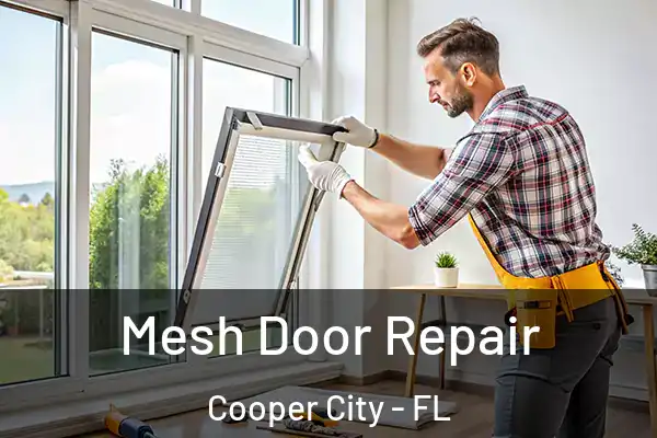 Mesh Door Repair Cooper City - FL