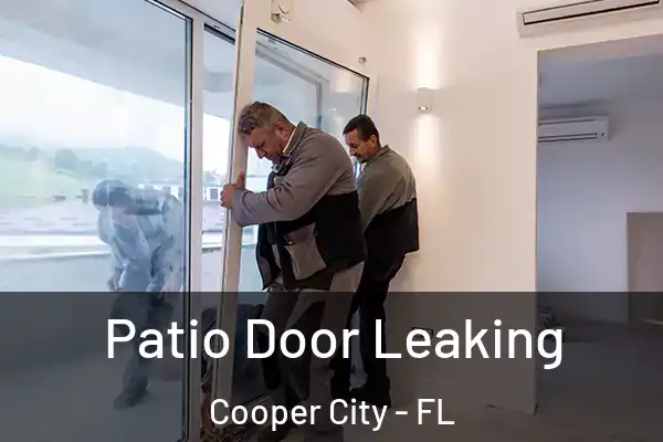  Patio Door Leaking Cooper City - FL