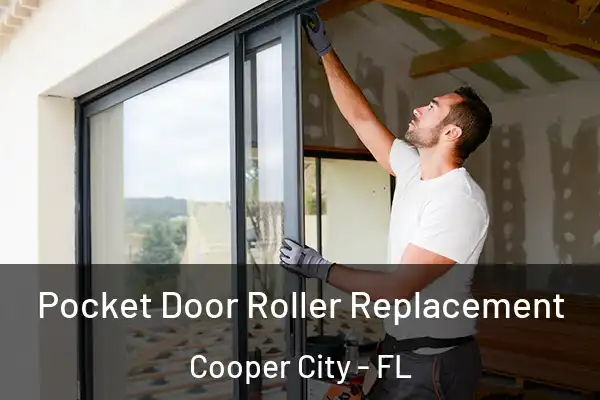 Pocket Door Roller Replacement Cooper City - FL