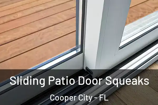 Sliding Patio Door Squeaks Cooper City - FL