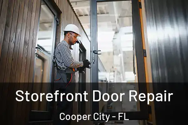 Storefront Door Repair Cooper City - FL