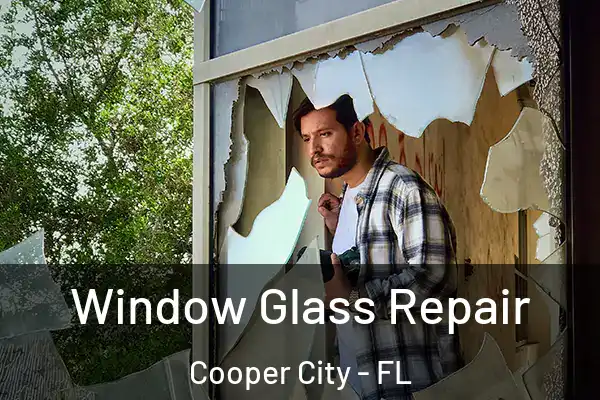 Window Glass Repair Cooper City - FL